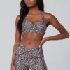 New Saltwater Luxe Aspire Sports Bra In Floral Dots