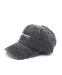 BikiniBird Baseball Hat In Washed Black