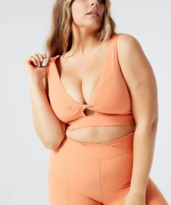 L*Space Do The Twist Bra In Sunset Activewear